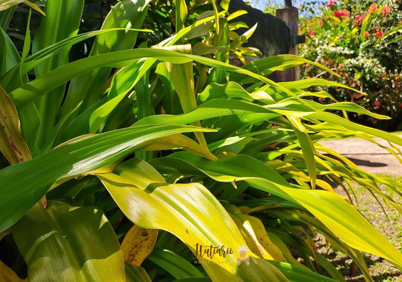 Hutiarii House & Car & Excursions Raiatea Villa Tevaitoa Luaran gambar